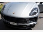 Thumbnail Photo 14 for 2020 Porsche Macan